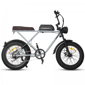 R1S Retro E-Bike — 500W & 48V/12.5Ah Fat t...