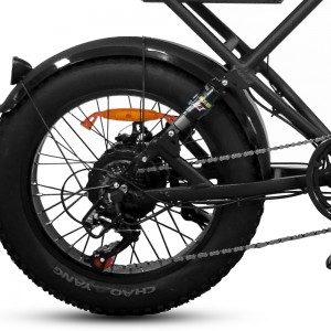 R1 PRO Retro E-Bike — 48V/12.5Ah & 750W Bafang motor Fat tire  Mootoro D1 Dual suspension