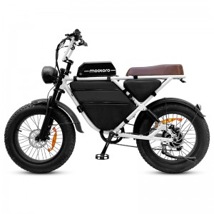 R1 PRO Retro E-Bike — 750W & 48V/12.5Ah Fat tire Bafang motor Mootoro D1 Dual suspension