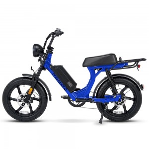 R3 MAX Retro E-Bike — 1000W & 72V/36Ah  25-60Km/h Power Mootoro D1 E-bike Factory China Manufacturer