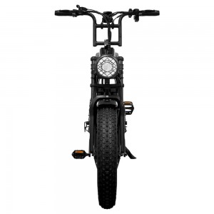 Urban ebike R1S  — 500W & 48V/12.5Ah Modern Electric Bike with throttle and pedal assist