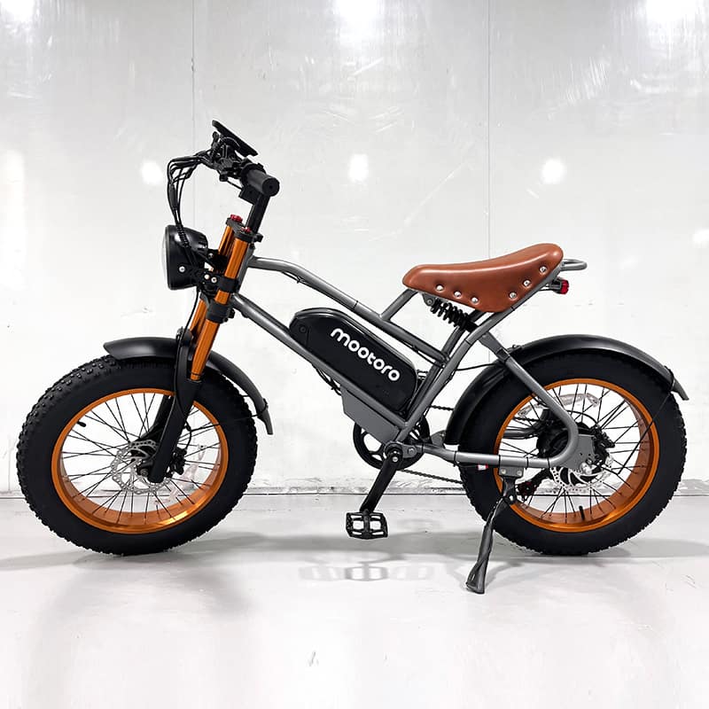 Electric Bike Cruiser D1X 4000w Bafang — 48v/20ah Vintage Style Electric Bike Featured Image