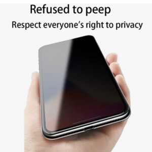 2019 wholesale price China Ogcell Anti-Spy Privacy Tempered Glass Screen Protector for iPhone Xs Xs Max
