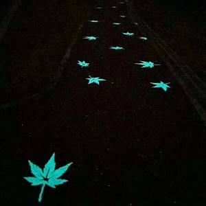 Luminous Greenway