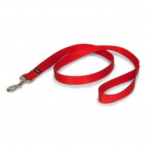 Nylon Dog Leash – Strong, Durable, Traditional Style Leash