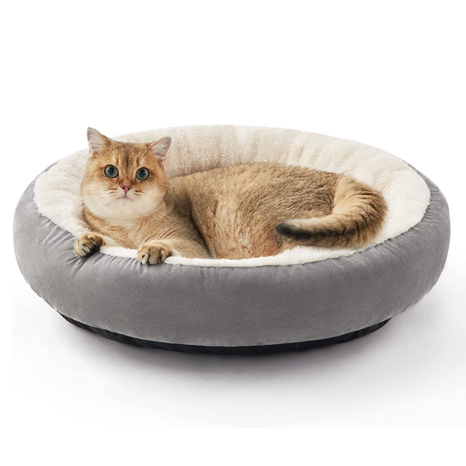 Morbido e confortevole letto con cuscino a ciambella per animali domestici ultra rotondo