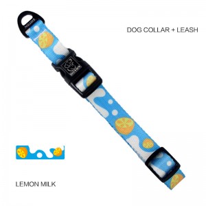 Customized Durable Dog Collar and Leash Set