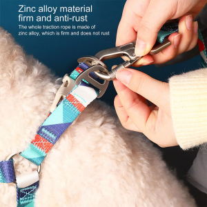 Factory Price Adjustable Soft Rope Pet Collar Leash Set