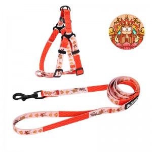 Umoristiċi Pattern Aġġustabbli Faċli Mixi Dog Harness Leash Set