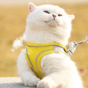 Hot Sale Breathable Reflective Pet Harness Leash Set
