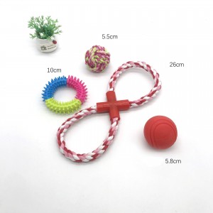 Customized 12/15 Pack Interactive Teeth Cleaning Squeaky Dog Toy