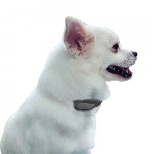 Outdoor Real Time GPS Locator Pet Collar Tracker