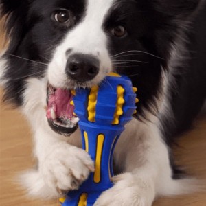 Langlebiges interaktives Trainingsspielzeug für die Zahnreinigung von Backenzähnen für Hunde