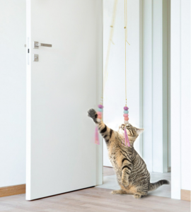 Καυτές εκπτώσεις Ελευθερώστε τα χέρια σας Παιχνίδι με ραβδί γάτα