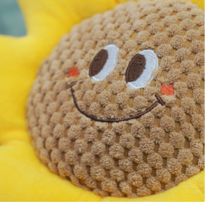 Nahiangay nga Smiley Face Flower Pet Intelligence Molar Training Toys