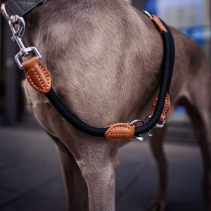 Мулти-функционален поводник од јаже за кучиња без раце