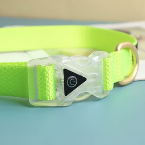 Personalized Reflective Nylon Dog Collar With Buckle