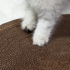 Pet Supplies Durable Circular Design Indoor Cat Toy Cardboard