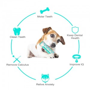 الجملة الكلب العظام الأسنان تنظيف عصا مضغ لعبة للعدوانية