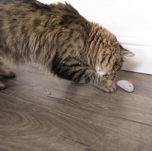 Groothandel op maat katten interactief speelgoed met kattenkruid