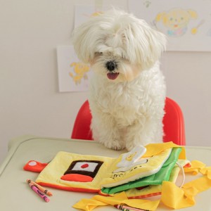 Hot Sale Book Shape Leaking Food Dog Puzzle Toy
