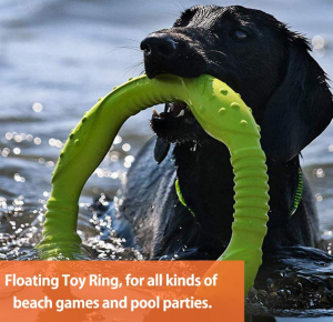 Outdoor Flying Discs Interactive Training Ring For Dogs