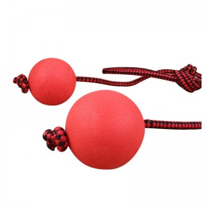 Durable Rope Interactive Training Dog Chew Toy Ball