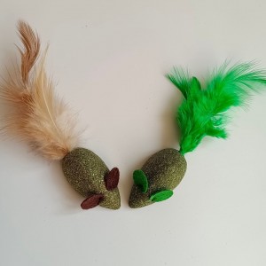 Pet Catnip With Feather Molar Teeth Cleaning Toy