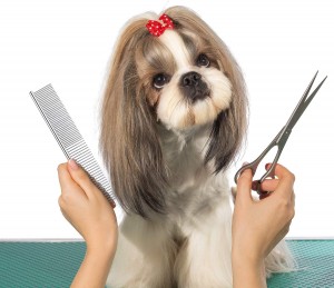 High Quality Stainless Steel Pet Grooming Combs