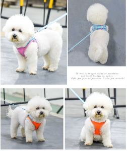 Wholesale Adjustable Nylon Reflective Dog Leash Harnesses Set