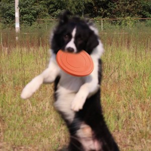 Slitesterk TPR Game Bite Resistant Frisbeed Outdoor Trening Hundeleker