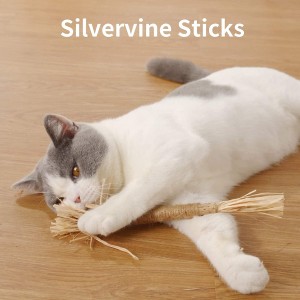 Mainan Kunyah Kucing Catnip Stik Silvervine Alami untuk Dalam Ruangan