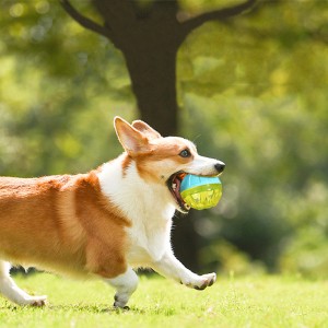 2023 New Liewensmëttel Spender Leckbehandlung Ball Dog Squeaky Toy