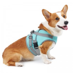 Mesh Breathable ປ້ອງກັນບໍ່ໃຫ້ Heatstroke Pet Cooling Harness