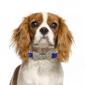 Luksusa Rhinestone kristāla suņu kaklasiksna