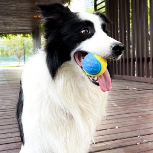 Durable Rubber Interactive Squeaky Dog Chew Toy Ball
