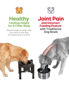 3 Heights Adjustable Non-Slip Elevated Slow Feeder Dog Bowl
