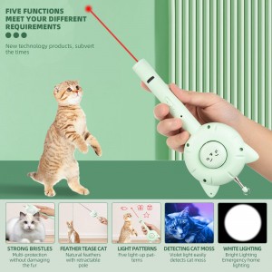 5 in 1 Portable USB Laser Pet Hair Removal Brush