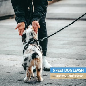 Dog Leash with Comfortable Padded Handle and Highly Reflective Threads