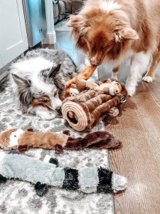 Hračky pro psy na schovávanou a pískací hračky pro štěňata