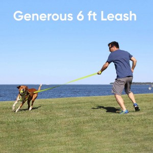 Күчүк үчүн 6 FT Solid Color Leash Reflective Dog Leash