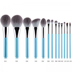 Fixed Competitive Price Makeup Brush Private Lable - High Quality Factory Customized Professional 13pcs Keiskei Synthetic Portable Partysu Makeup Brush set  – MyColor