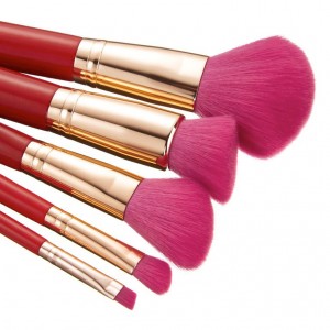 Manufacturer of Flat Contour Cosmetic Brush - Private label 5pcs makeup brush set factory – MyColor