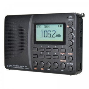 Mylinking™ Portable Voice Recorder AM/SW/FM Radio Stereo BT/TF/USB Player