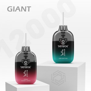 GIANT 12000 Puffs Disposable Vape
