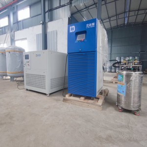 Ldh2-4 litre liquid nitrogen machine complete set of industrial nitrogen making machine equipment with liquid nitrogen