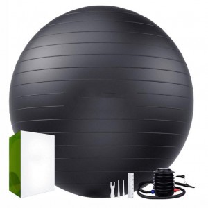 Eco-friendly PVC Anti Burst Heavy Duty Stability Fitness Exercise Yoga Gym Ball with Pump