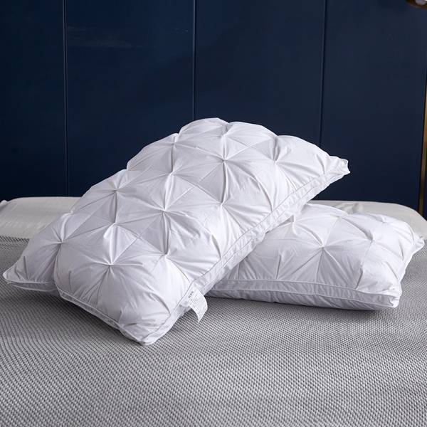Luxury Soft 100% Natural White Goose Down Feather PillowsGoose Feather Pillows For Star Hotel Featured Image