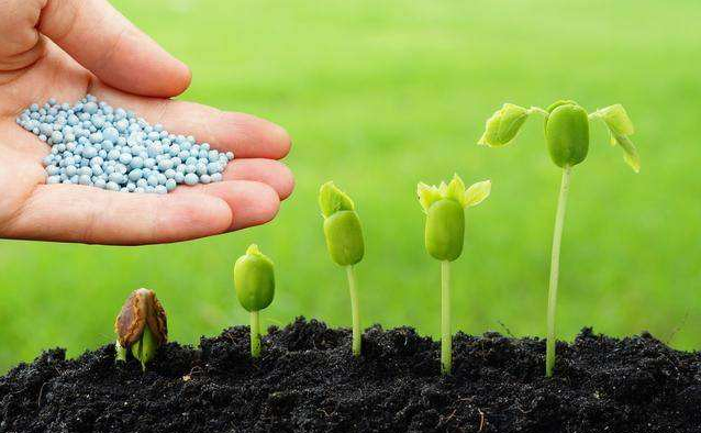 Ukraine continues to expand nitrogen fertilizer exports