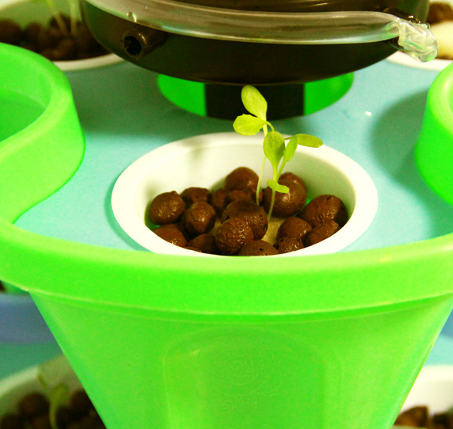 Hydroponics—The Science Of Growing Plants Without Soil